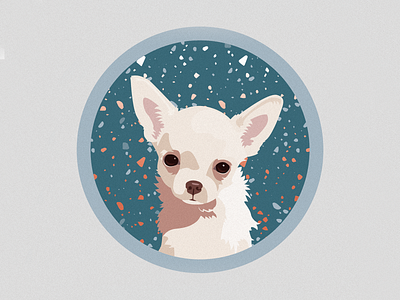Chihuahua illustration design digital digitalart dog dog illustration drawing illustration illustration art illustrator vector vectors