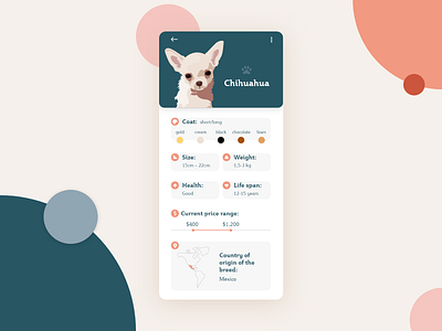 Dog app android app android app design animal app app design application design digital dog illustration ui ux vectors