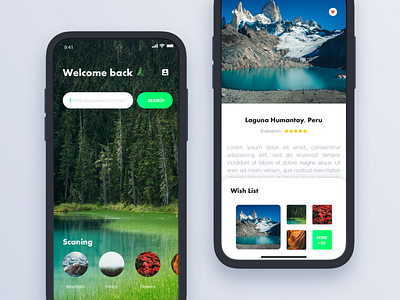 Discover APP app design discover illustration natural sketch travel ui ux