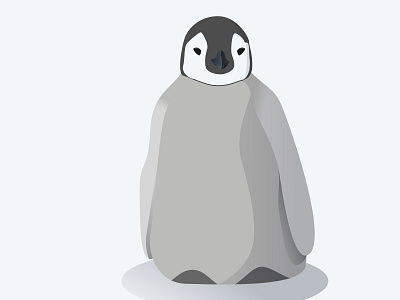 penguin animal penguin vector illustration vector illustration ipadpro