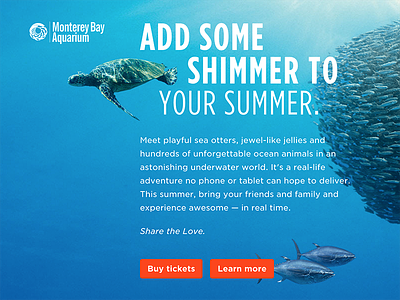 Add some Shimmer to your summer aquarium blue campaign shimmer summer