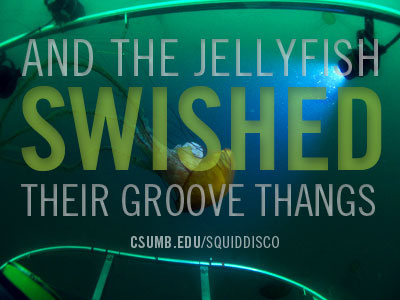 Squid Disco Promo blue csumb green jellyfish