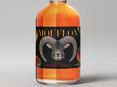 Mouflon Apricot Brandy branding design illustration typography