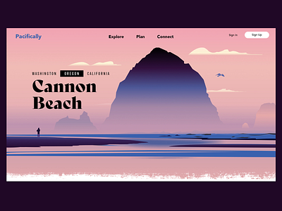Pacifically website branding design illustration typography ui ux vector