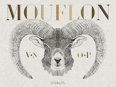 Mouflon Armenian Brandy VSOP alcohol branding beverage design branding design illustration typography