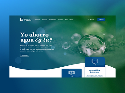 Aguas de la Habana - Website design