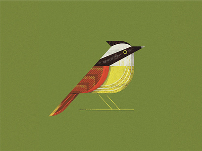Birb animal bird design illustration retro texture wing