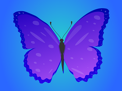 Butterfly arts colors design drawing illustration photoshop