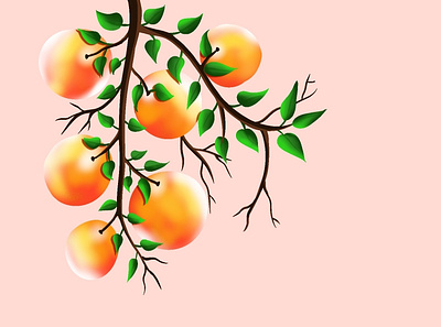 Fruit illustration art artlover brushes design illustration illustrator procreate vector