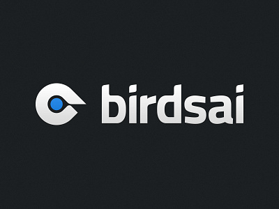 Birdsai Logo bird birdsai eye logo typography