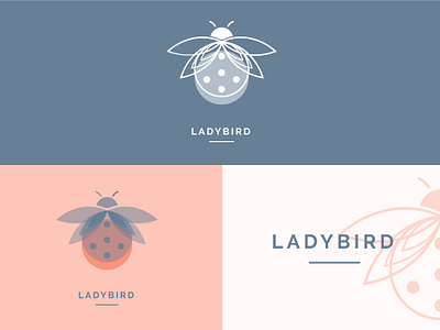 Ladybird #2 color design fun illustration illustrator ladybird logo