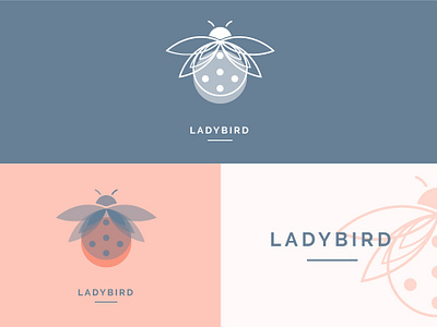 Ladybird #2