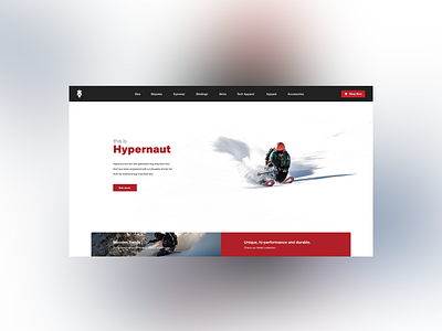 Majesty Skis - landing page design design ui web website