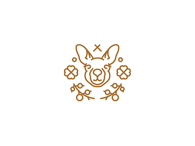 Logo Challenge | Kangaroo