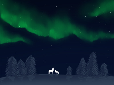 Aurora borealis aurora illustration kiruna lapland night photoshop sweden wolf