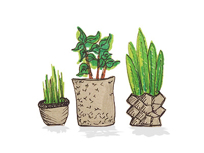 Indoor plants: the more the better, right? draw drawing illustration indoor plants nature plant plants