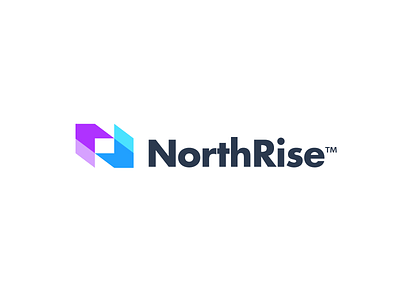 NorthRise abstract logo arrows branding letterforms lettermark monogram n logo negative space north nr nr logo r logo simple logo university university logo