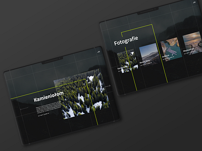 Drone CO web concept app branding dashboard design illustration logo minimalistic ui ux web