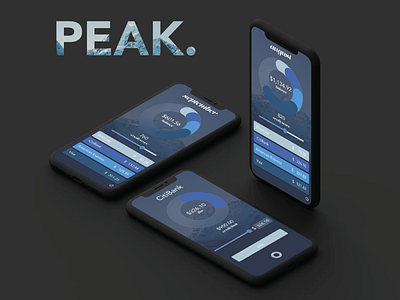 PEAK. concept app ui design ui ux design