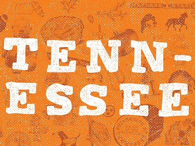 That Time in Tennessee football orange state symbols tennessee volunteers