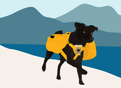 Dog Illustration_hiking adobe illustrator branding dog illustration vector
