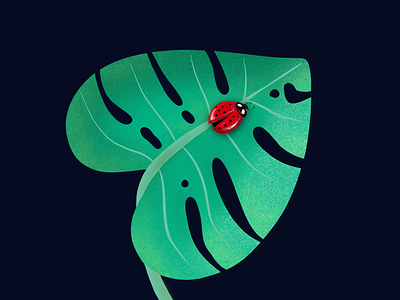iPad Leaf design graphic illustration leaf monstera procreate sketch