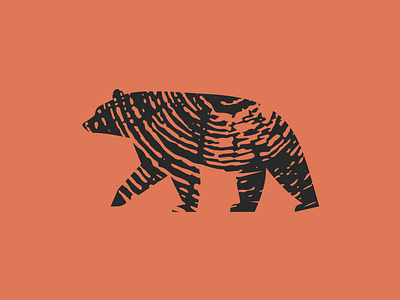 bear animal bear silhouette