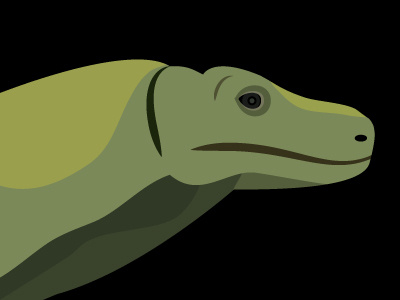 Komodo dragon green illustration komodo lizard monitor