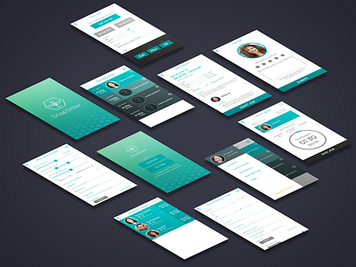 Snapsitter UI/UX Design