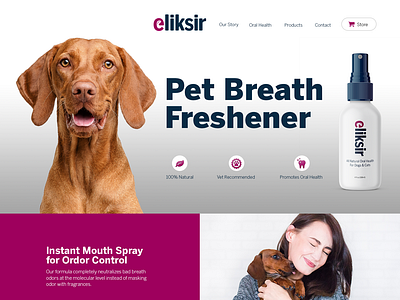 eliksir Website Design Concept design logo design website design