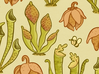 Pitcher Plants Pattern bee botanical floral illustration pattern pitcher plant plant surface design