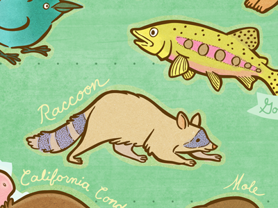 California Wildlife Map animals california fish illustration lettering map raccoon wildlife