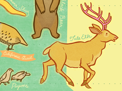 California Wildlife Map animals california elk illustration lettering map pigeon wildlife