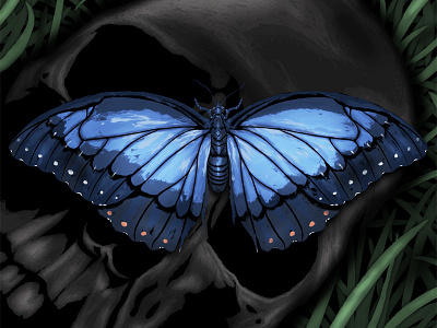 In The Midst butterfly death duality life nature skull skulls