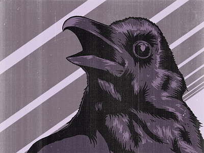 WIP bird drawing illustration raven vintage