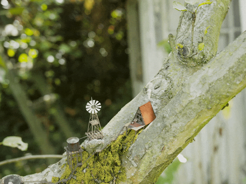 tree house miniature cgi cabin house moss tree blender 3d motiontracking matchmoving matchmove hdri bmpc4k video compositing blender3d