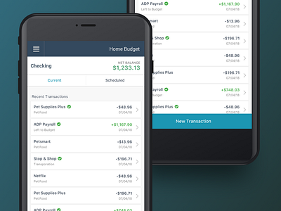 Accounts & Transactions Mobile - Budget App