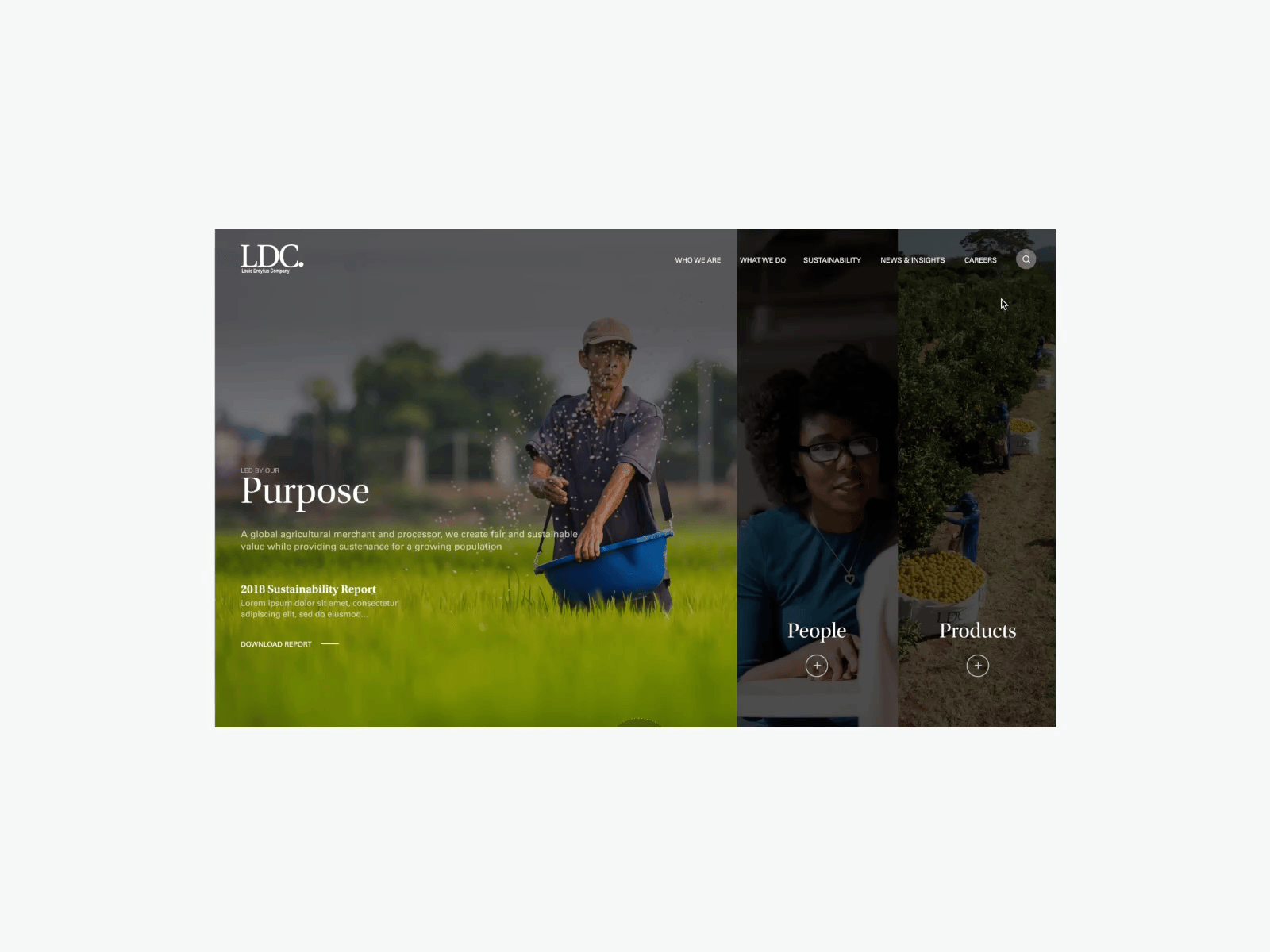 Platform redesign for Louis Dreyfus Company animation design ui ux web design website design