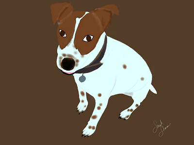 Dungee the Jack Russell dogs illustrations jack russells procreate