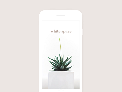 White Space minimalism simplicity whitespace