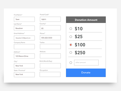 Donation Form form ui ux