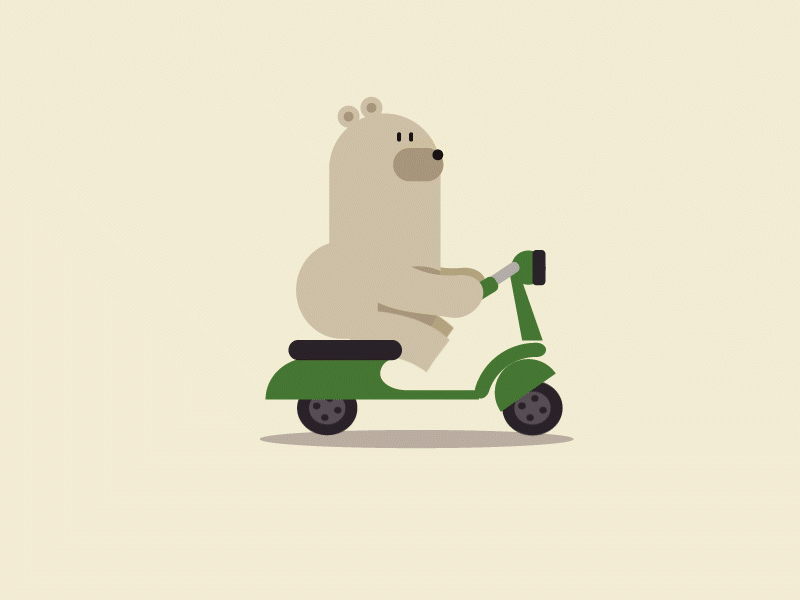 Stupid bear animation design flat illustration type