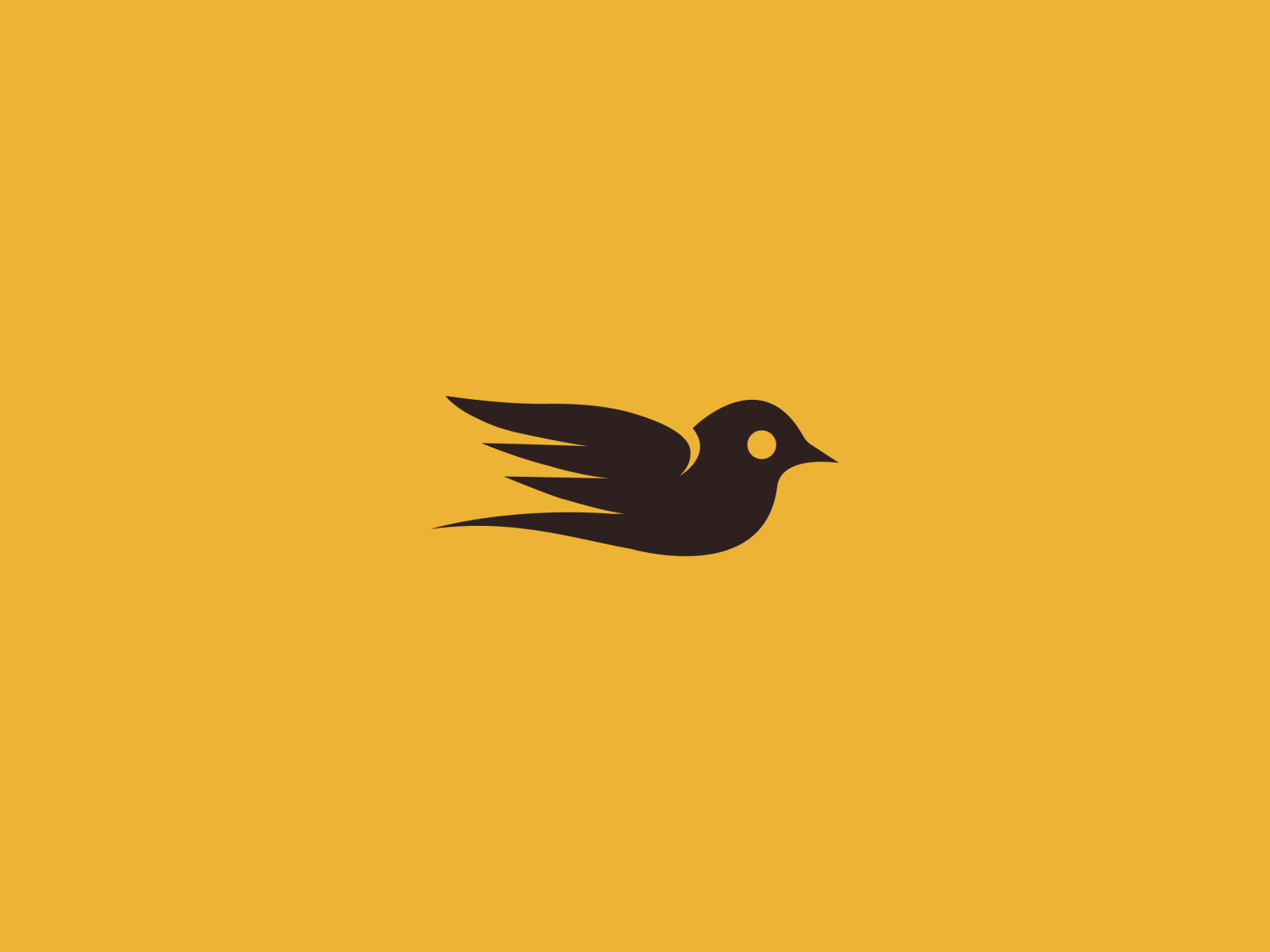 Bird exploration #4 by Cameron Porombka on Dribbble