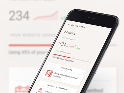 Account page clean interface ios minimalistic responsive sketch ui user web app