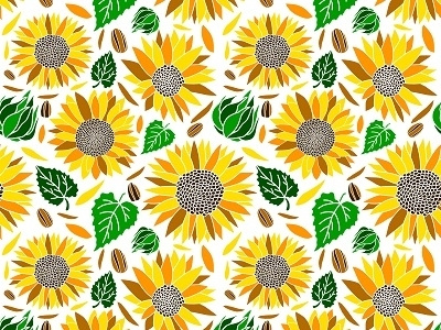Vector Sun Flower Seamless Pattern Isolated In White Backgroundr fabric pattern seamless surface