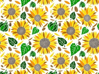 Vector Sun Flower Seamless Pattern Isolated In White Backgroundr