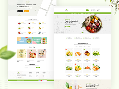 Healthy Food Web creative design ecommerce design food health organic shop store ui ui ux ux ui web web deisgn