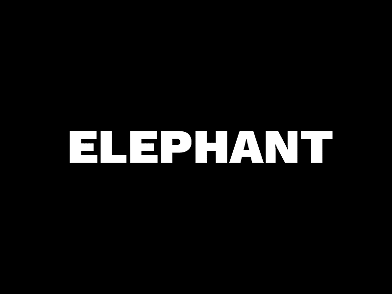 Elephant animation branding graphicdesign logo motion typographie