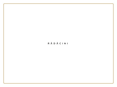 Radacini BBSO Baia Mare (Roots) - Visual Branding - Logo