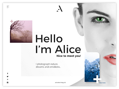 Alice Photography album minimal photo photography portfolio responsive template ui ux website